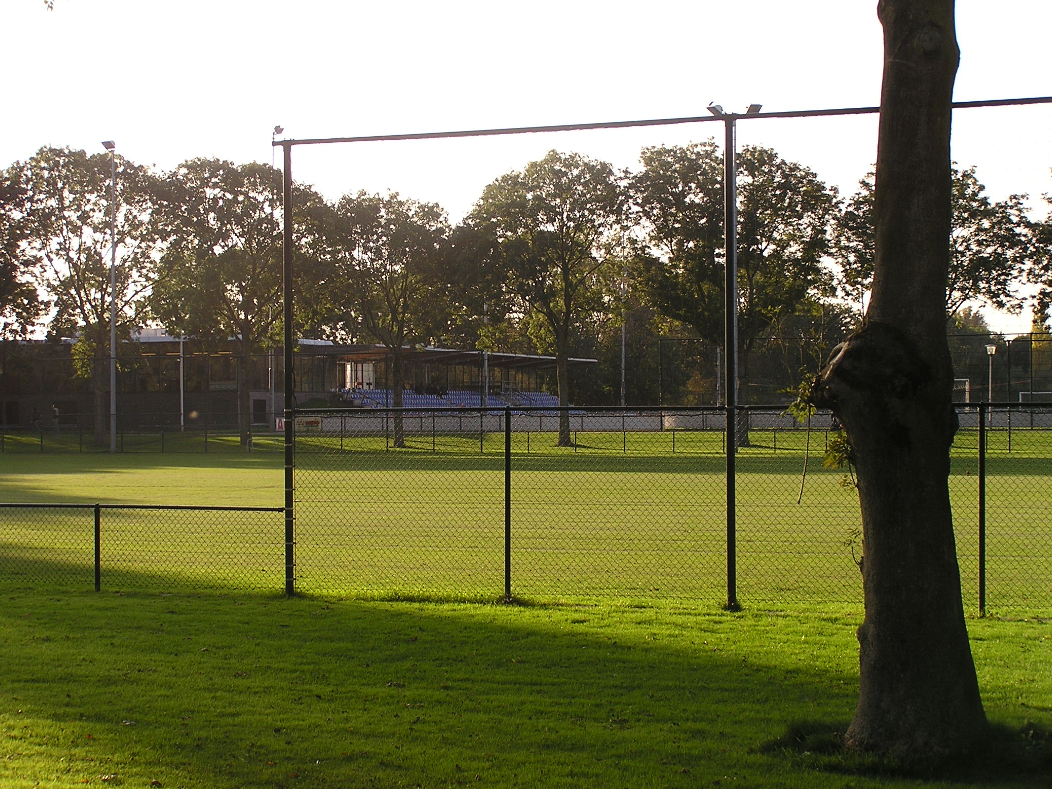 Jong Utrecht - Yousri Sbai